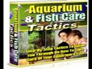 Thumbnail Aquarium FishCareTactics PLR Thumbnail Aquarium FishCareTactics PLR