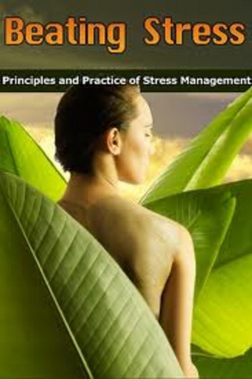 Product picture Beating Stress PLR