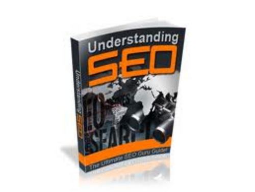 Product picture Understanding SEO MRR